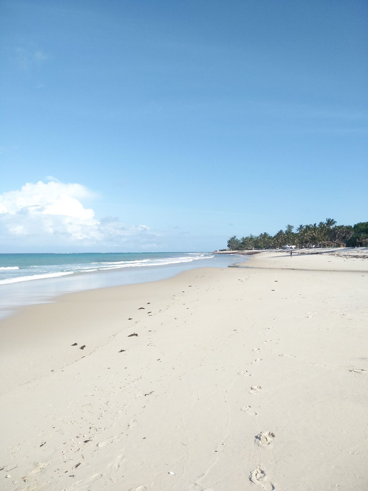 Empty white-sand beach stretching along the Kenyan coast